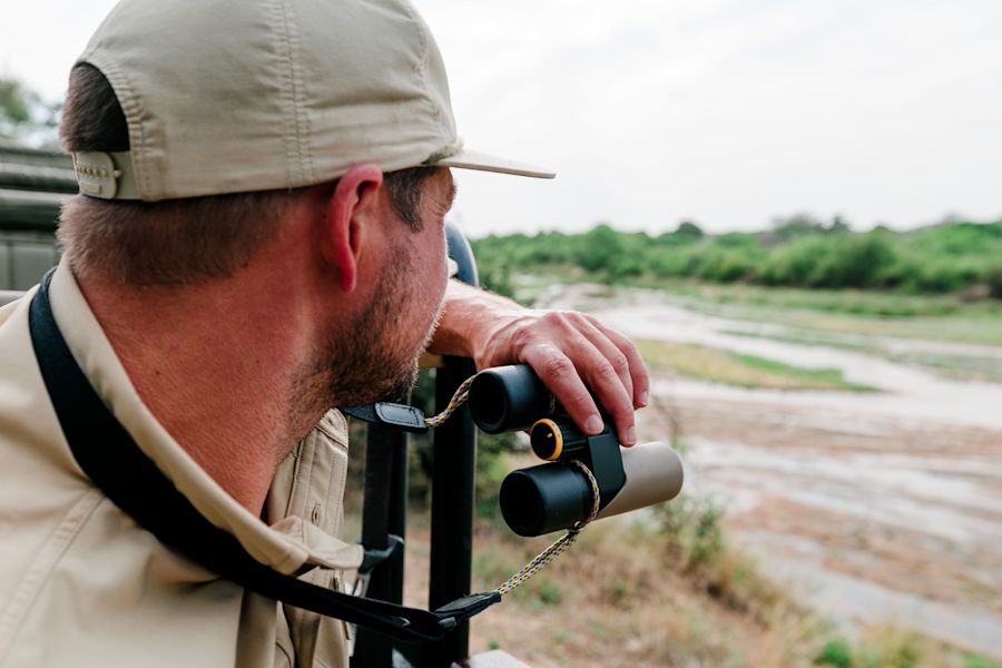 CL Companion 3.0 - H/B/O - SAFARI