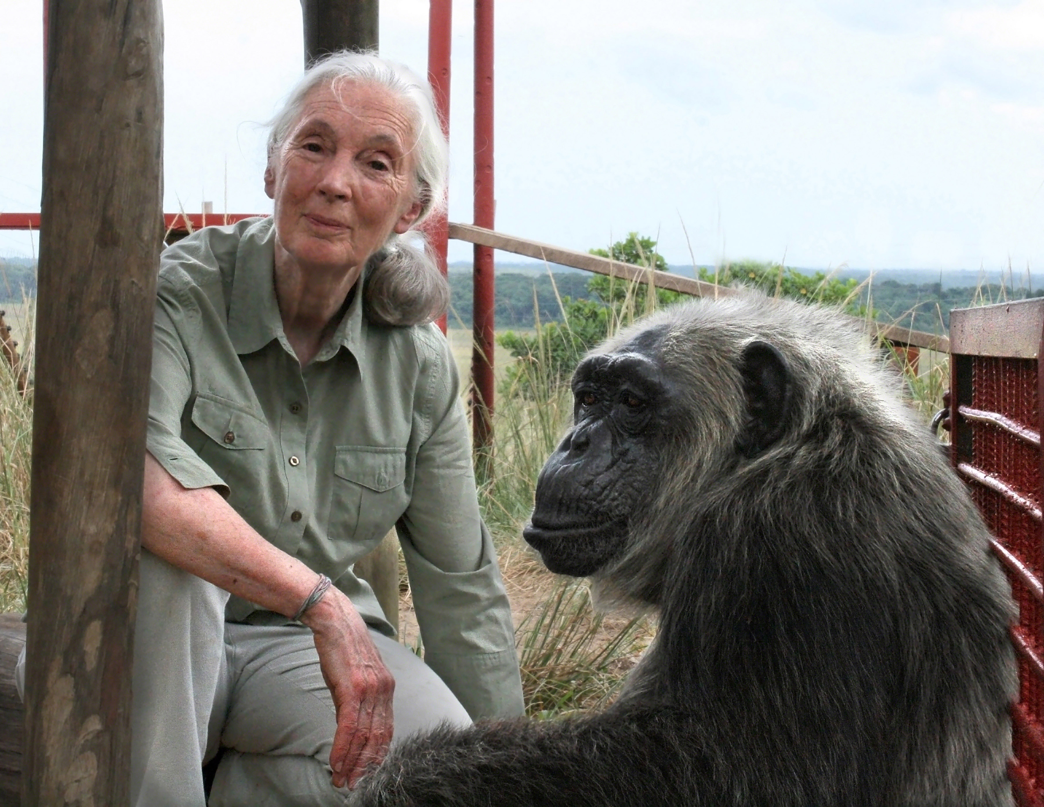 SWAROVSKI OPTIK & The Jane Goodall Institute