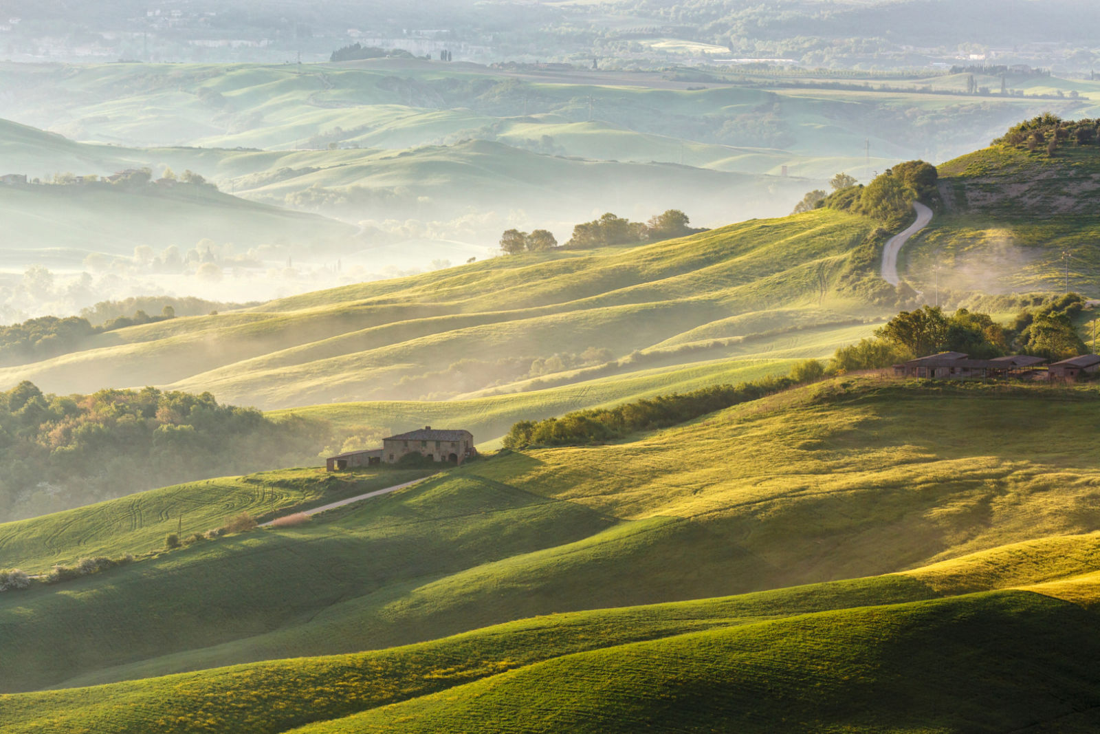 CLOSER Hunting 2022
Tuscan Farm Landscape With Morning Fog In The Valley.
K22_mauritius_images_13503678_CMYK.tif (ID:1674423) 
