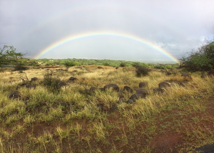 CLOSER Hunting 2022
Lanai Axis - landscape with rainbow