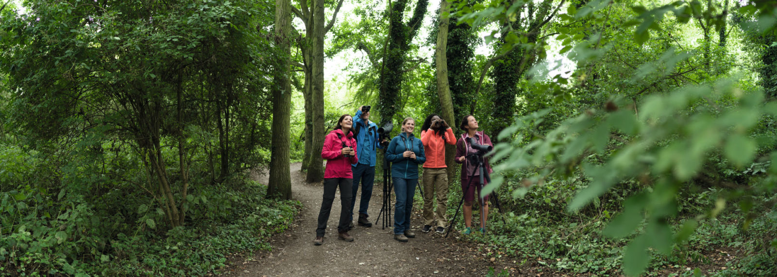 Why everyone can become a great birder - SWAROVSKI OPTIK Tripods BTX, ATX, EL, CL, Birders, Titchwell 