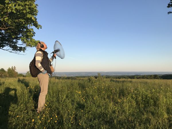 Bird songs: music to your ears B/ - © Andrew Spencer / Cornell Lab of Ornithology