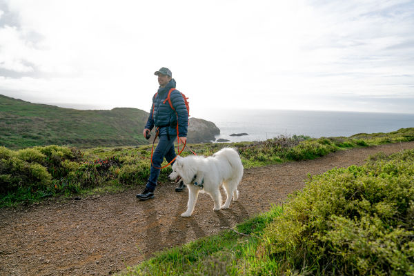 Out and about in the Marin Headlands, San Francisco O/ - Charles Post with his dog