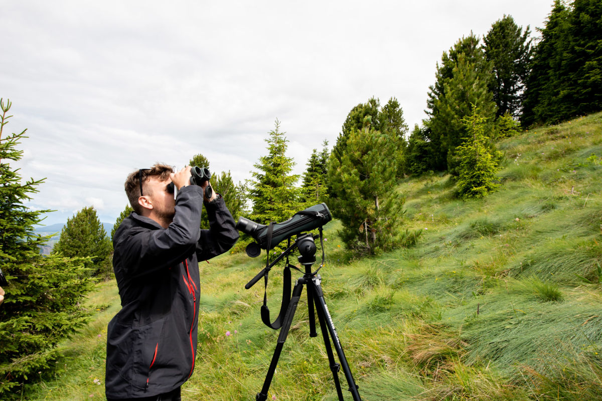 !!! Bird Survey, EURAC