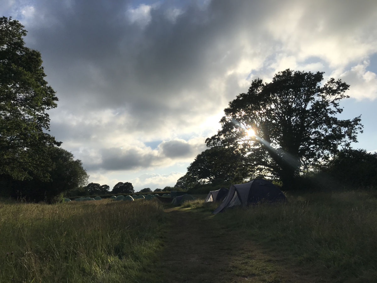 !!!Bethany Newark’s rewilding project: part one - landscape sunlight trees and clouds in Great Britain 