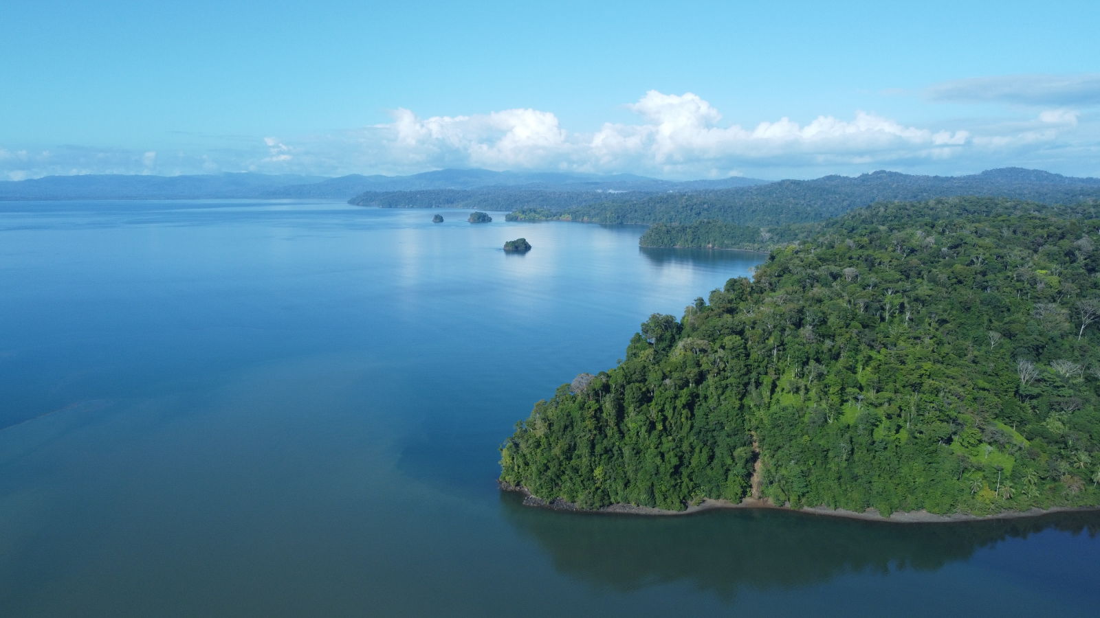 Biodiversity: Our project in Costa Rica /H/B/O - DJI 0630