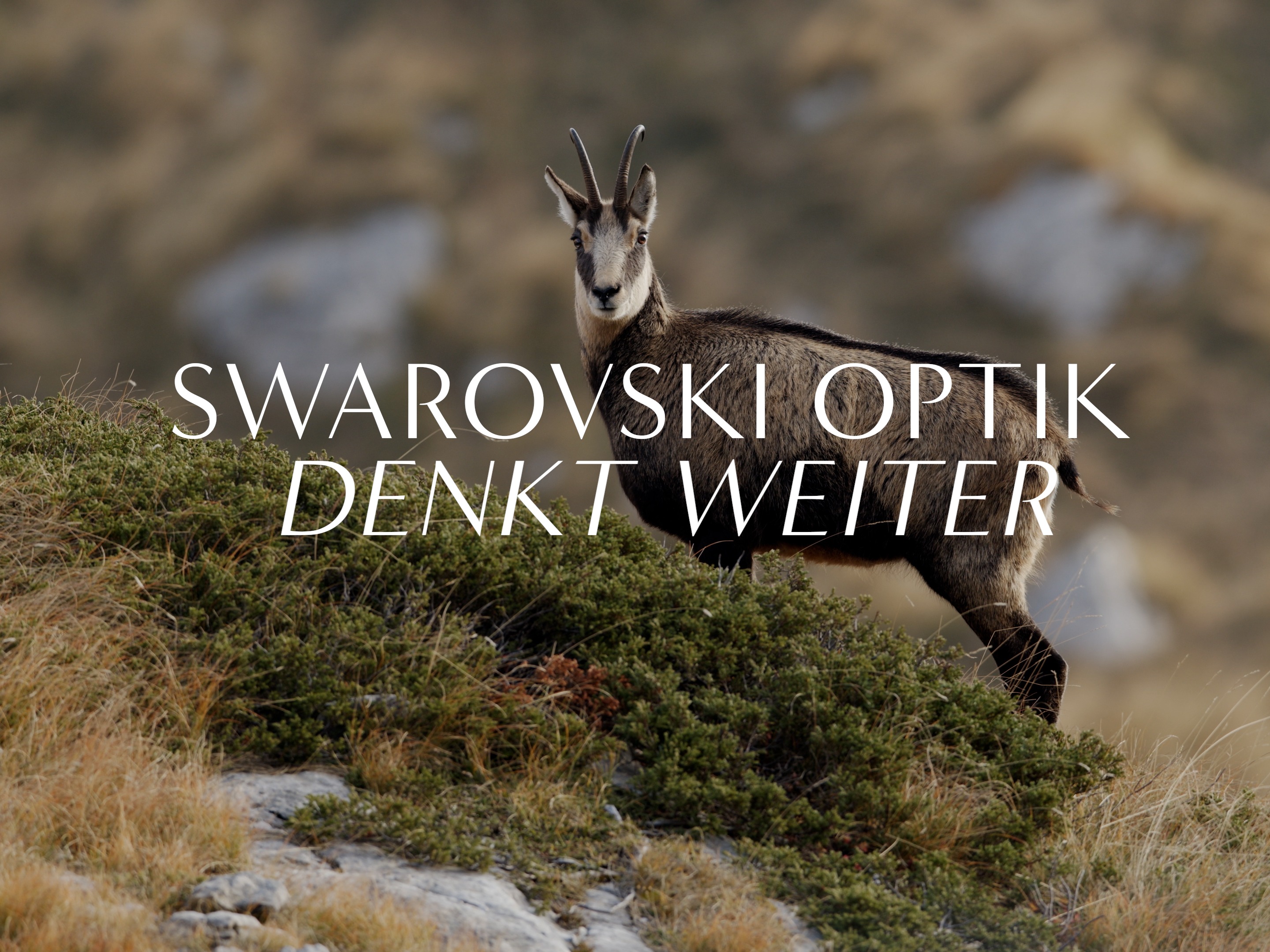 Learn more about how SWAROVSKI OPTIK invented the EL Range, binoculars that precisely measure distance and angle.
