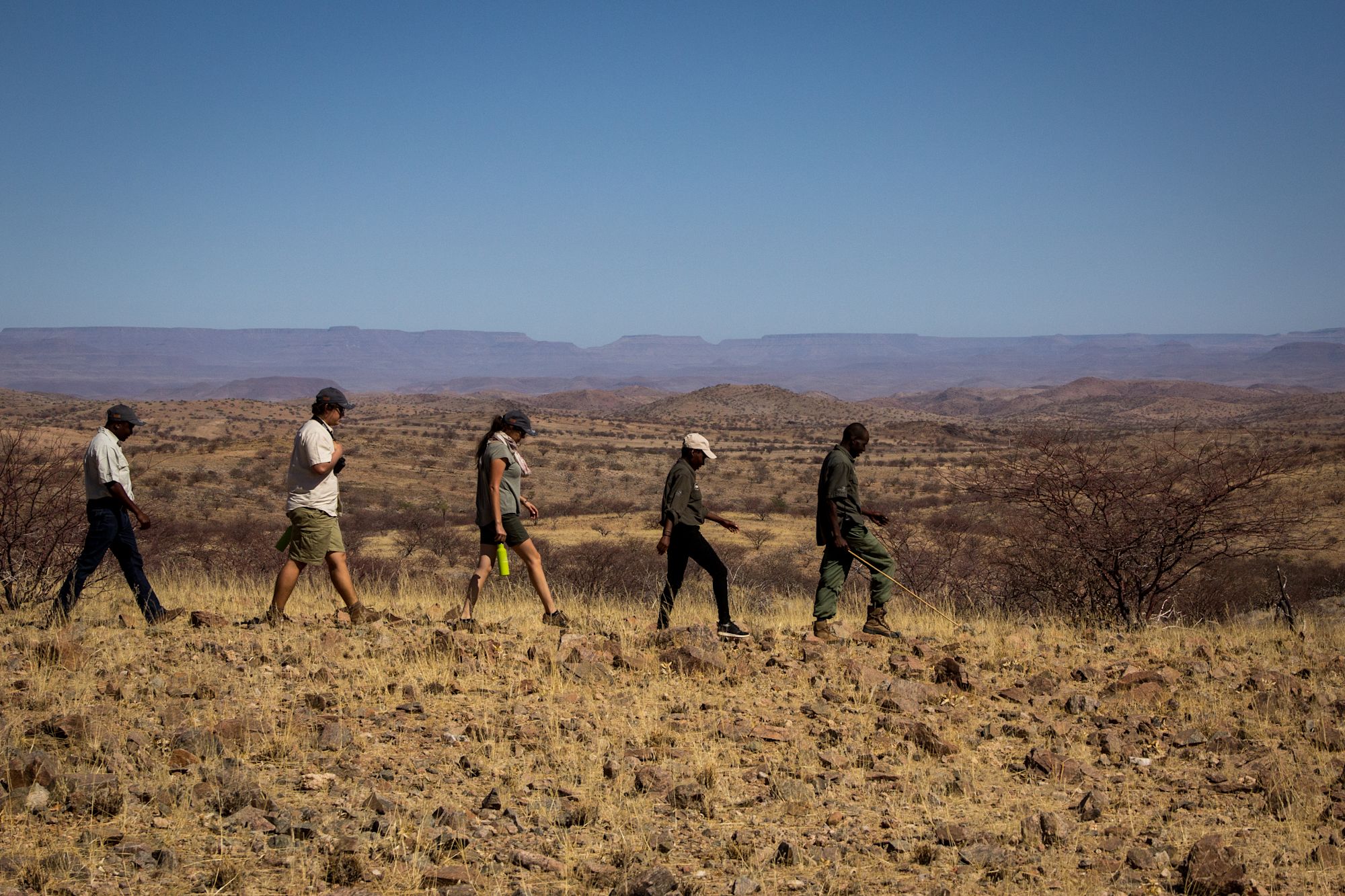 !!! Rhino Tracking - Ultimate Safaris /O - IMG 3133