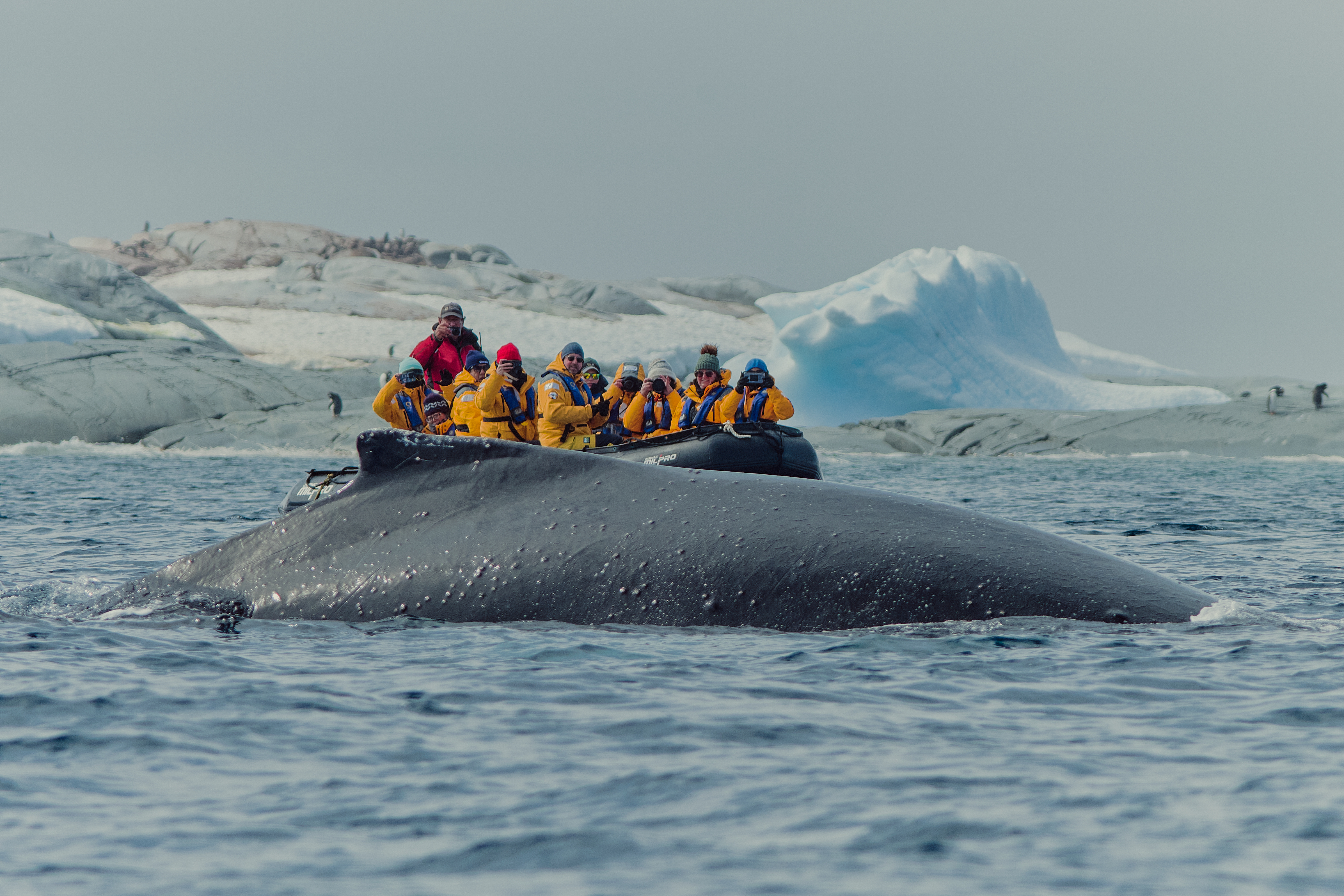 Quark Expeditions – Interview with Annie Inglis - /O - GALLERY 2 - ROW 1