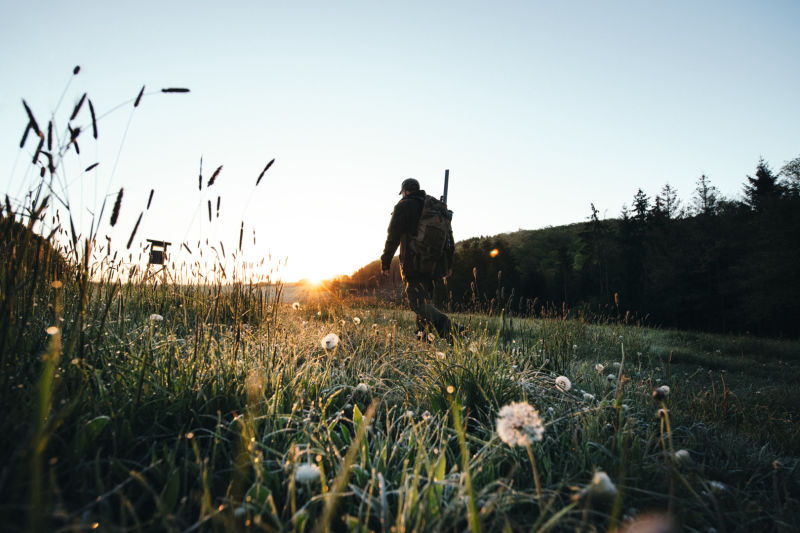 closer2hunting Nature’s call – and Patrick’s response Patrick walking, Z8i ID1313226