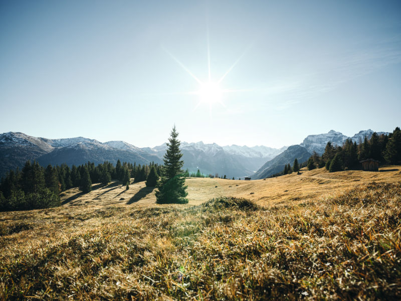 Landscape for #approaching distance - mountains, sun, trees, brown grass - K20 dS B1071377 CMYK ID:1544727