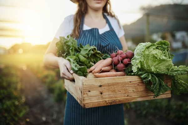 Canteen_regional products vegetables GettyImages-1097842636