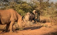 !!! CLOSER 2022 - Protecting the rhinos of Namibia Annette Oelofse H/ Annette with two rhinos