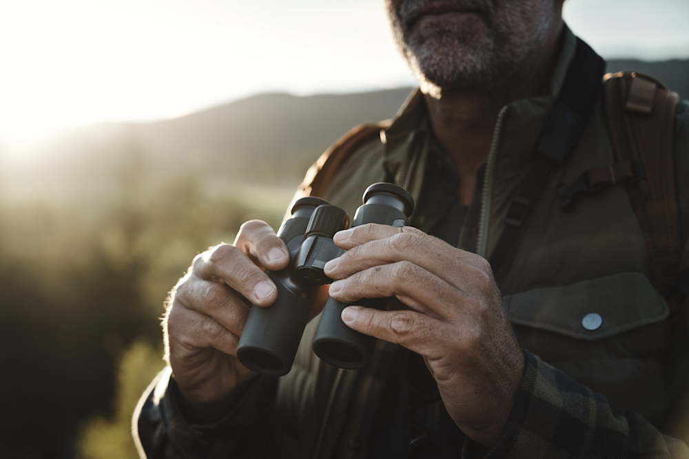 Binoclu Swarovski CL Companion 10x30