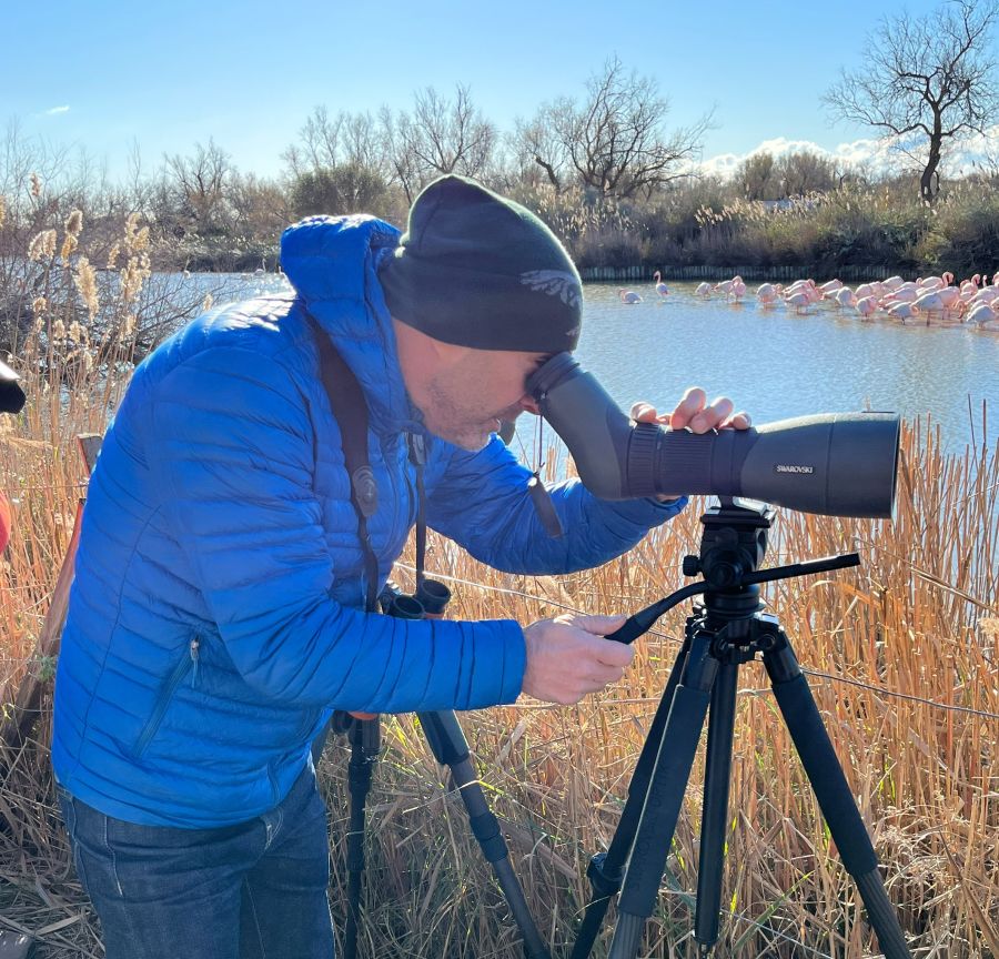 !!!Birding with Frederic Lamouroux - Discovering flamingos in the Camargue - ATX spotting scope