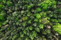 K19 Patrick Hundorf Hessen 0218 - ID:1313185