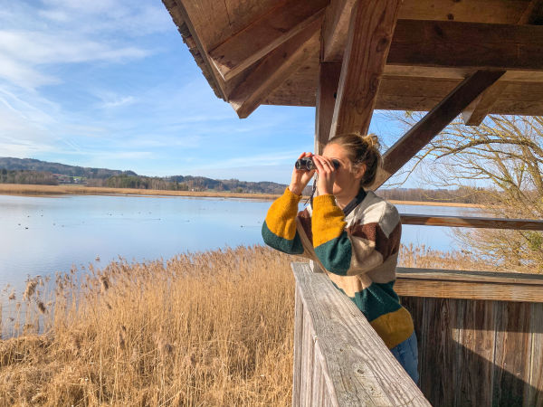 !!!Birdwatching Chiemsee c Franziska Consolati