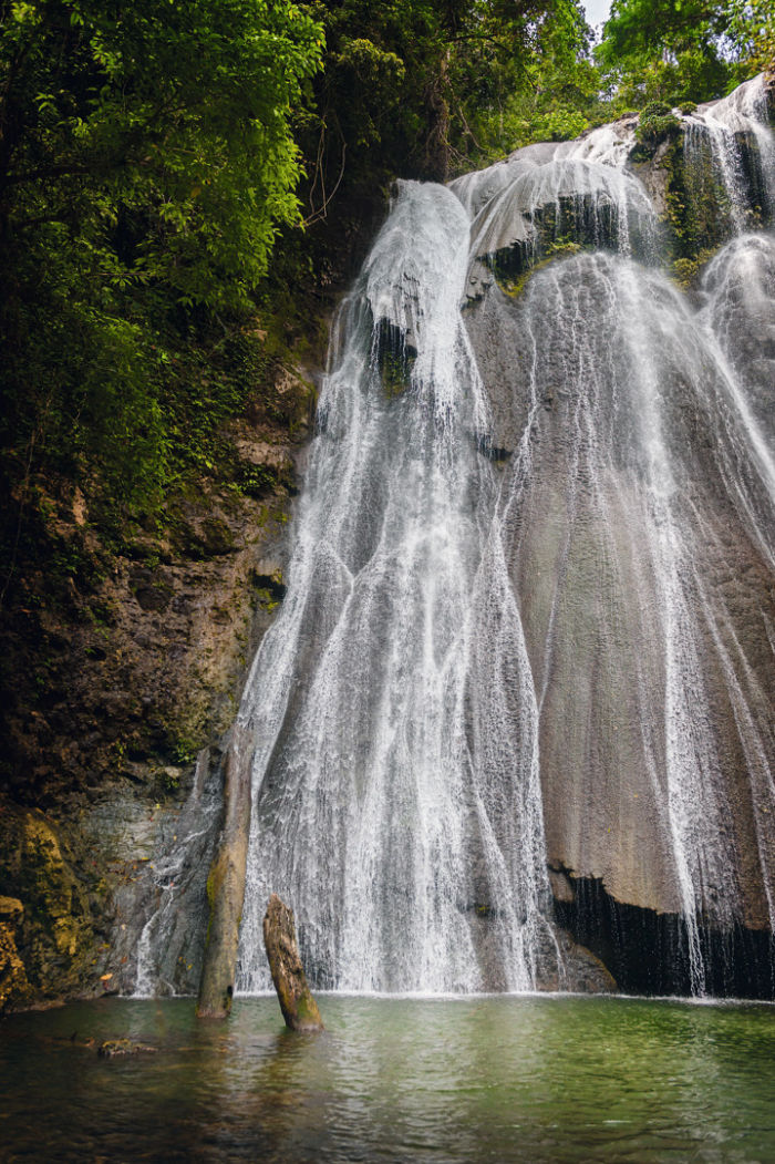 Swarovski Optik In paradise with birds-of-paradise waterfall