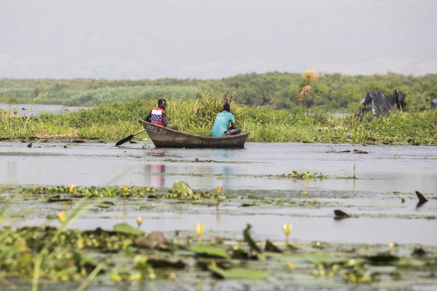 !!!, Uganda,RickBateman