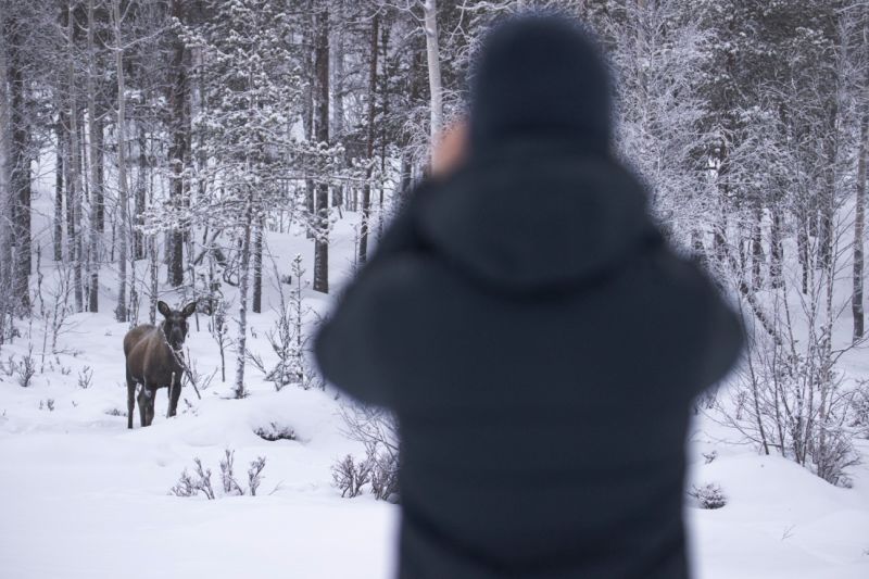 Simon Green Swedish Lapland 