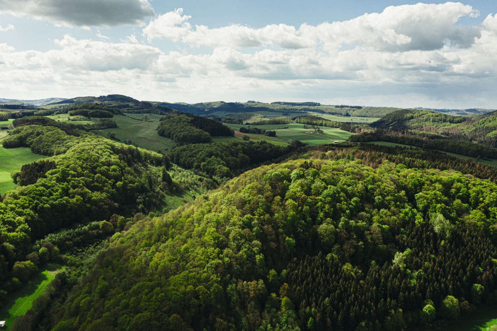 closer2hunting To hunt is to protect - Patrick Hundorf, Hessen, wide landscape 