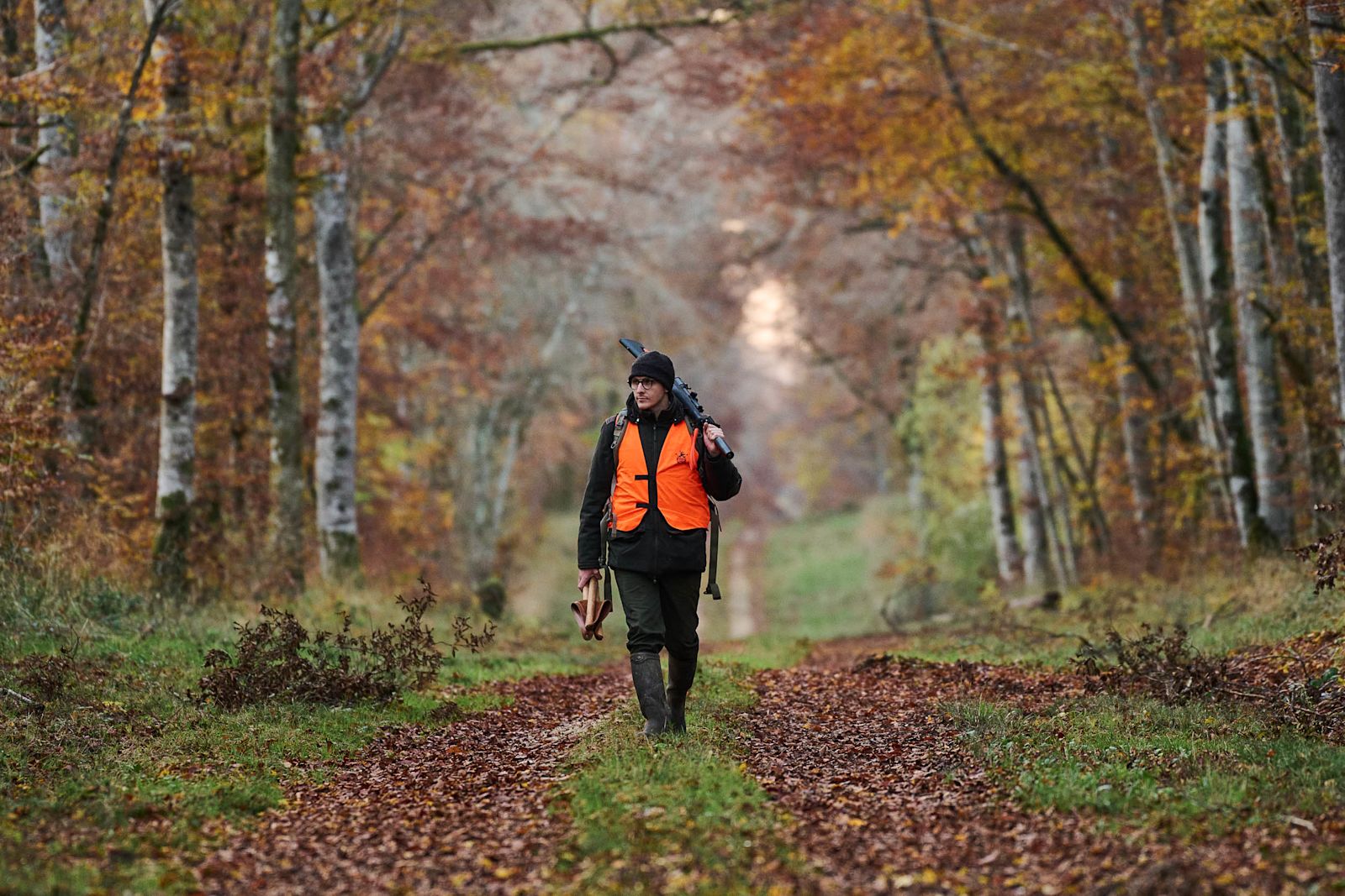 Male hunter wearing an orange vest walking along a forest trail in autumn with rifle over his shoulder to get to his driven hunting stand.