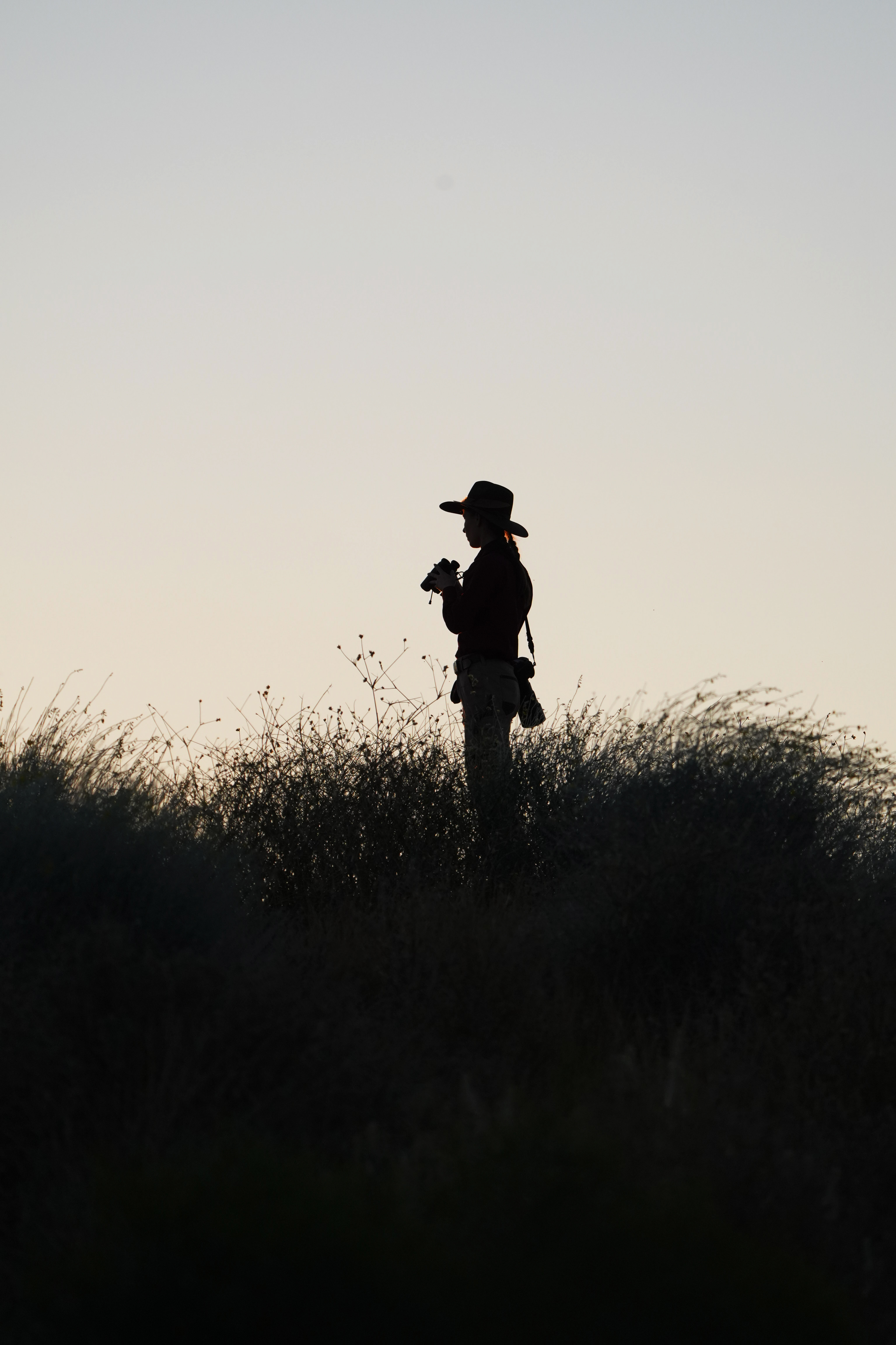 Birding for Beginners: Interview with Donna Belder - /B - EL