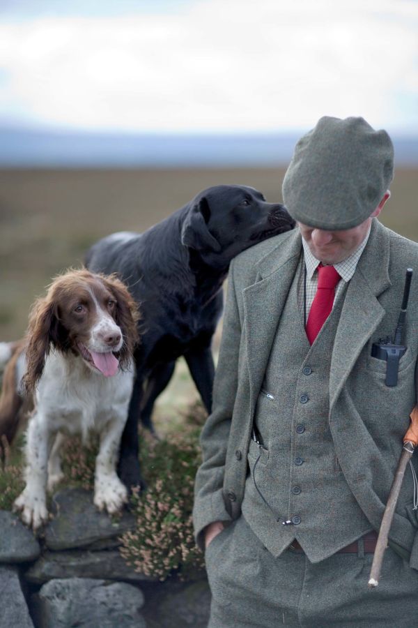 Grouse Dogs Stock Imagery by Scott Wicking