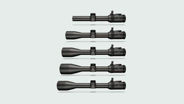 Fall Campaign 09/2026 - HUNTING - Z8i