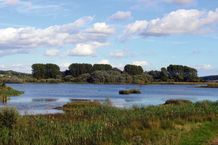 View of Rutland Water Nature Reserve, RAMSAR site, Special Protection Area and Site of Special Scientific Interest, Egleton, Rutland, England
