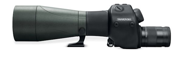 STR 80 horizontal with ocular ID 636755