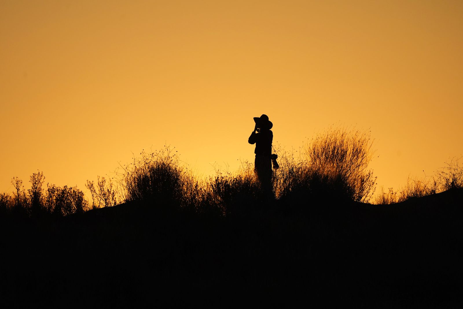 Birding for Beginners: Interview with Donna Belder - /B - HERO