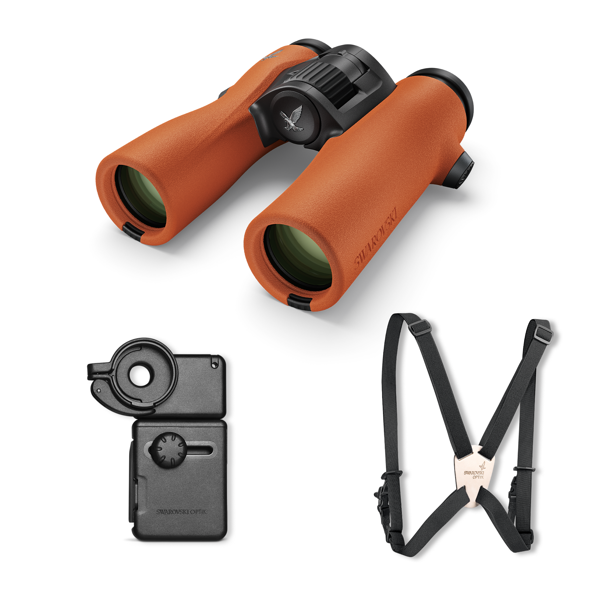 Basispaket für die Vogelbeobachtung auf Reisen