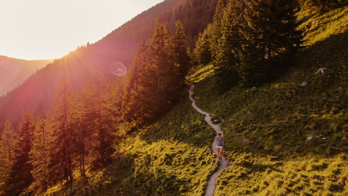 !!!Nachhaltiges Erleben der Natur (Consolati Teil1) - Leave no Trace in den Alpen/ H/ B/ O