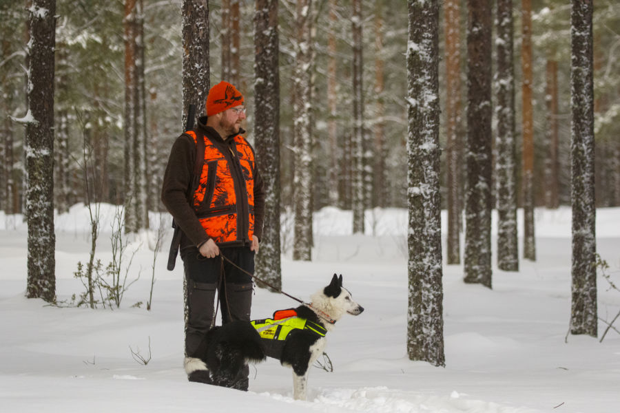CLOSER 2023: Nordic dogs - Hunting white-tailed deer in Finland /H