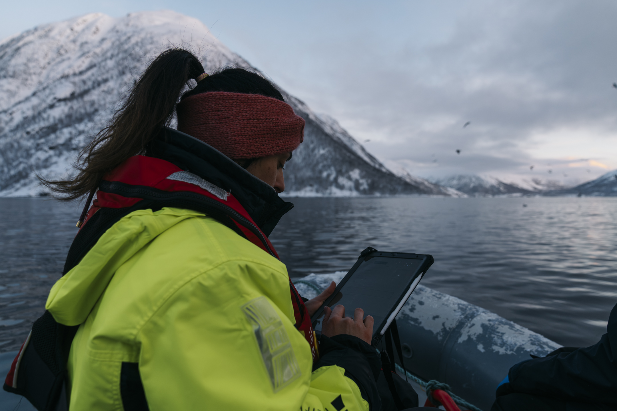 Whale observation for science - Chérine Baumgartner /O - GALLERY ROW 2