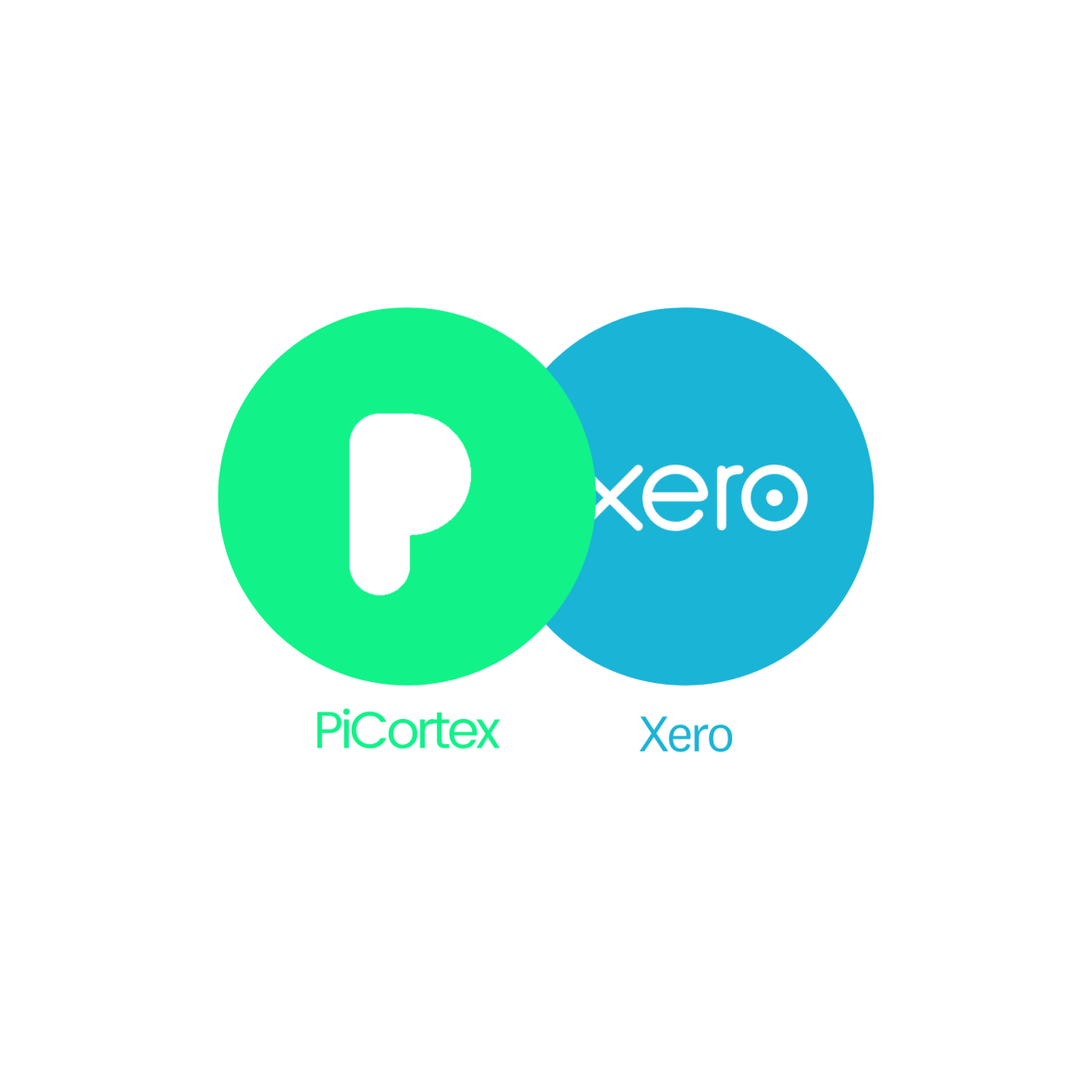 Simplify your accounting with Xero and PiCortex