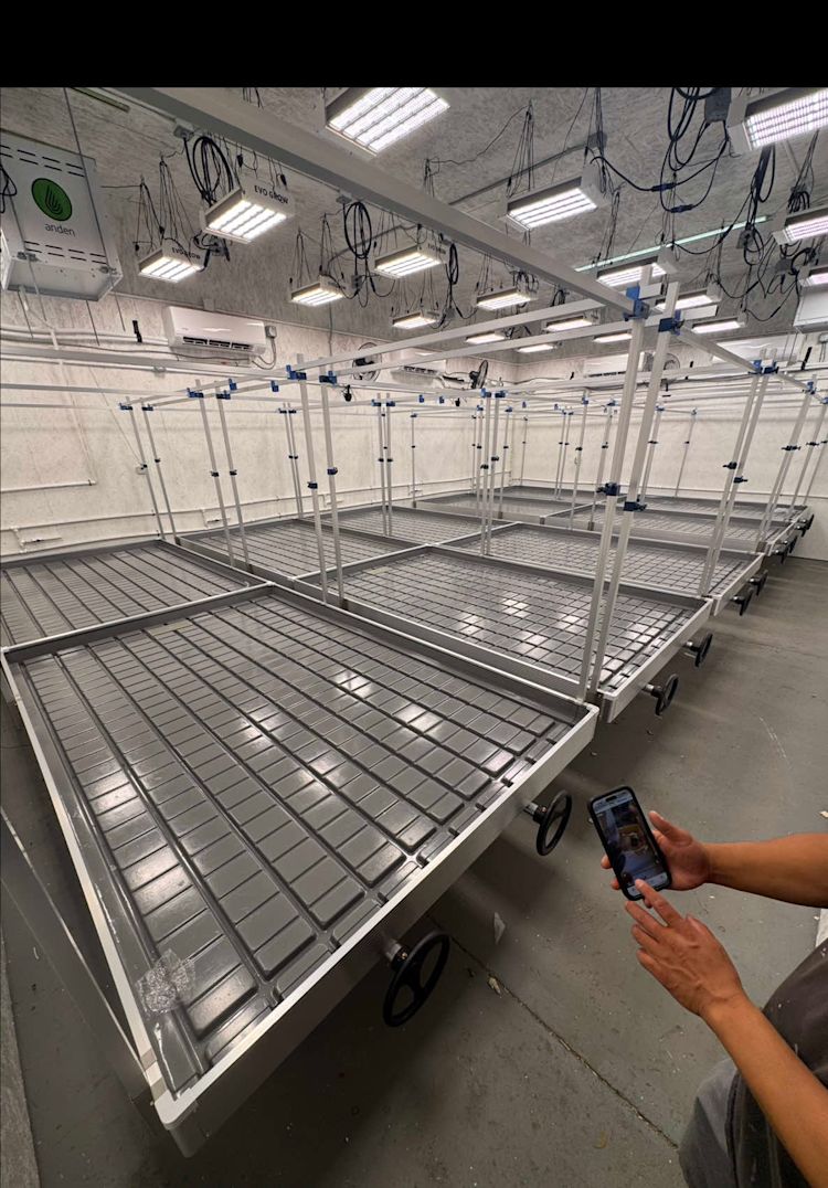 Lights on at Northwest Local Cannabis