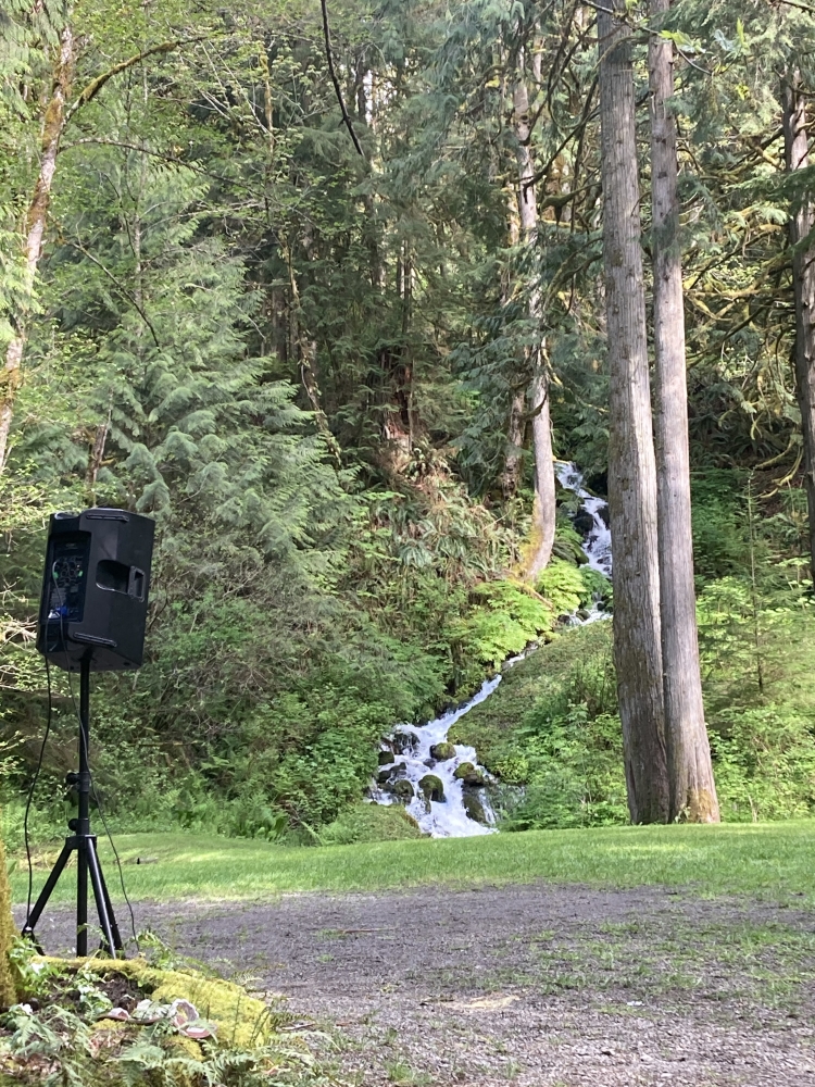 PA Speaker in the woods by a stream