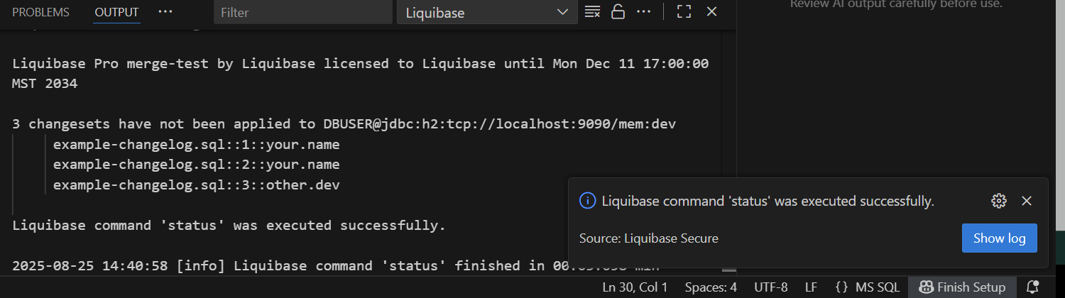 Liquibase Secure DEV status command success message