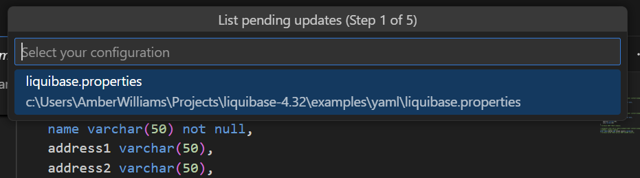 Select your liquibase.properties configuration