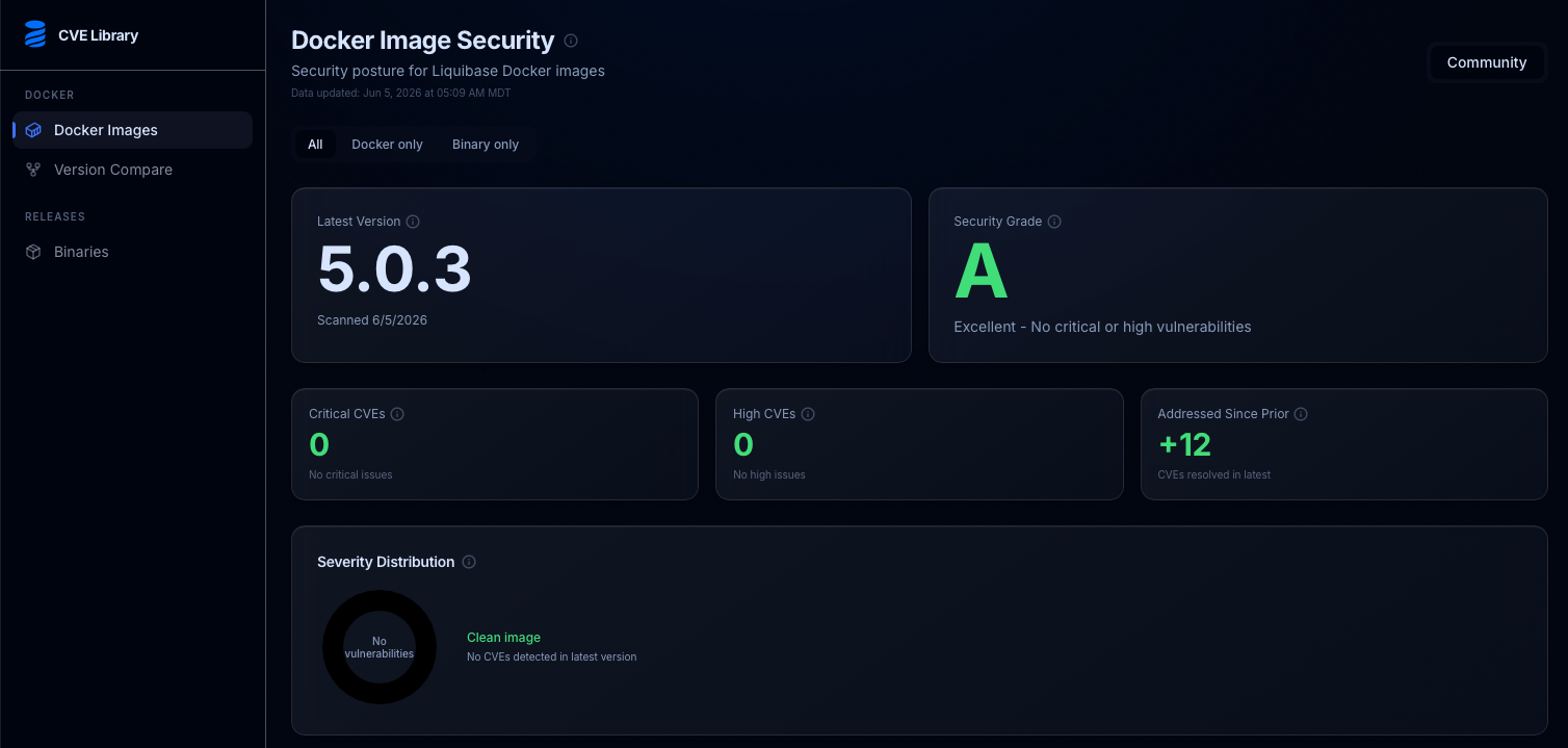 CVE Library: Docker Image Security dashboard
