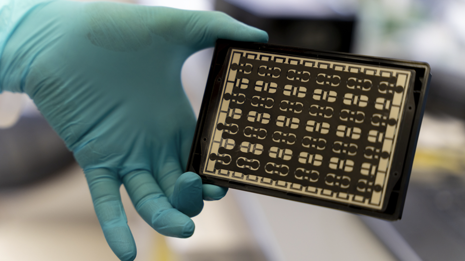 A well plate is a device used to measure the levels of biomarkers.