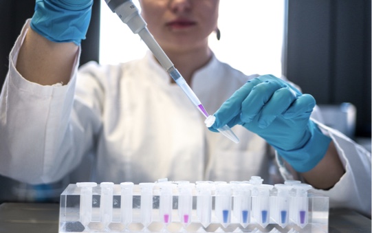 A lady in a lab coat and blue gloves putting pink reactant into an array of tiny test tubes