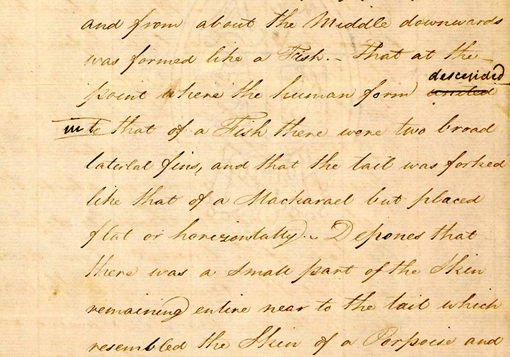 A photo of part of the handwritten official record of the court deposition describing the nature and state of the mermaid’s body
