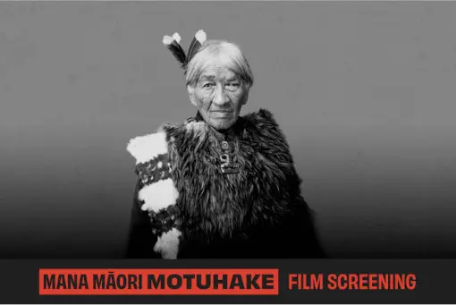 Mana Māori Motuhake: Māori rights and representation | National Library ...