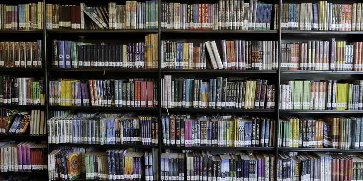 A view of Services to Schools books on shelves.