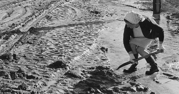 A woman is shovelling mud after a flood. 