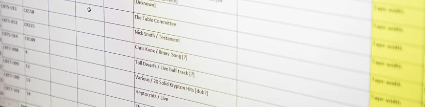 Photo of a spreadsheet on a computer.