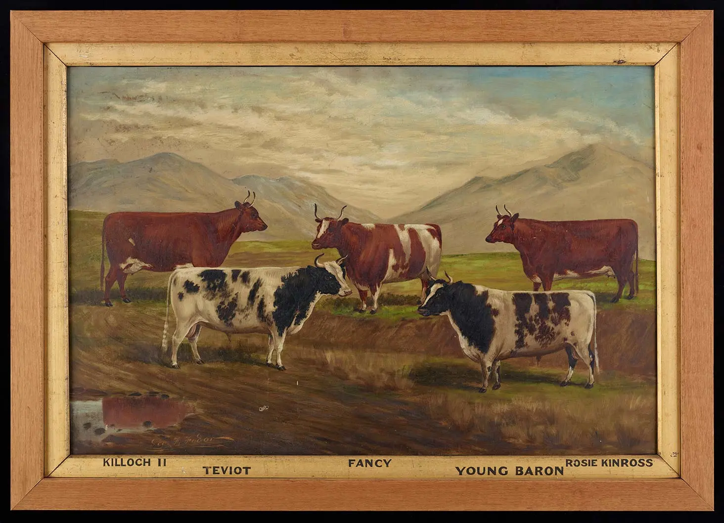Framed painting of 3 brown-and-white cows and 2 black-and-white bulls in a field with mountains in the background. Cattle names noted in the inner picture framing: Killoch III, Teviot, Fancy, Young Baron, Rosie Kinross.